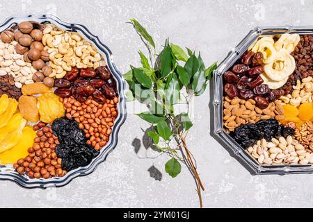 Zwei schöne silberne Gerichte mit getrockneten Früchten und Nüssen, ein Zweig eines grünen Baumes. Draufsicht. Leckereien und Symbole des Tu Be Shvat-Urlaubs Stockfoto