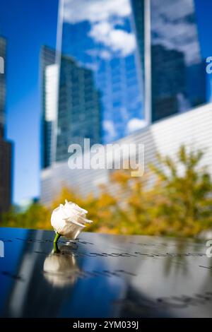 Eine einzelne weiße Rose in der Gedenkstätte 9/11 vor dem One World Trade Center in New York Stockfoto