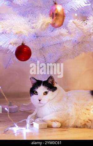 Eine schöne schwarz-weiße Katze liegt bequem unter einem wunderschön verzierten weißen Weihnachtsbaum und schafft eine bezaubernde Winterszene Stockfoto