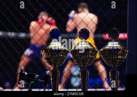 Becher stehen vor dem Ring, wo der Kampf stattfindet Stockfoto