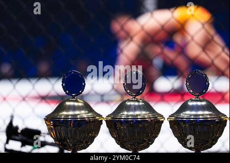 Becher stehen vor dem Ring, wo der Kampf stattfindet Stockfoto