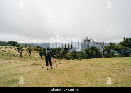 Malerischer Blick auf einen Jungen, der auf einem Pfad durch den Fanal-Wald auf Madeira, Portugal, spaziert. Hochwertige Fotos Stockfoto