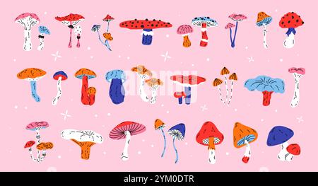 Set aus verschiedenen Waldpilzen, Pilzpilzen, Pilzpilzen, Pfifferlingen, Fliegenpilzen, Boletus Stock Vektor