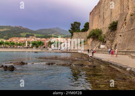 Blick auf Plage de Port d'Avall (Avall Beach) und Chateau Royal, Collioure, Pyrenäen Orientales, Roussillon, Occitanie, Frankreich, Europa Stockfoto