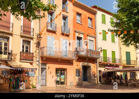 Geschäfte und Restaurants in Place du 18 Juin Square, Altstadt von Collioure, Pyrenäen Orientales, Roussillon, Occitanie, Frankreich, Europa Stockfoto