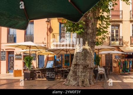 Geschäfte und Restaurants in Place du 18 Juin Square, Altstadt von Collioure, Pyrenäen Orientales, Roussillon, Occitanie, Frankreich, Europa Stockfoto