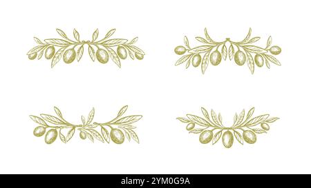 Rustikales Symbol in Oliven. Vektorsammlung von Früchten, grünen Blättern, Zweigen. Botanische Monochrom-Illustration im Vintage-Stil. Mediterrane Küche, Aromaöl Stock Vektor