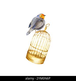 Aquarellfarben goldener Vintage Vogelkäfig und niedlicher europäischer Rotbrüster Vogel, handgezeichnete Illustration von antiken Metall Gold Vogelkäfig und songbird, isoliert Stockfoto