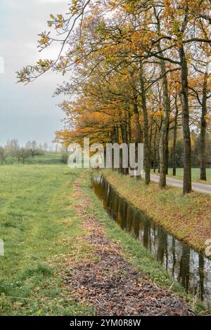 Herbstfarben bei Schalkwijk. Ländliche Gebiete in den Niederlanden. Stockfoto