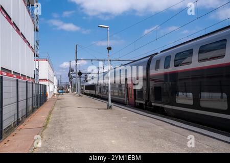 Hochgeschwindigkeitszug (TGV) im Bahnhof Toulouse Matabiau im Departement Haute-Garonne in der französischen Region Occitanie am 15. August 2022. Verz Stockfoto