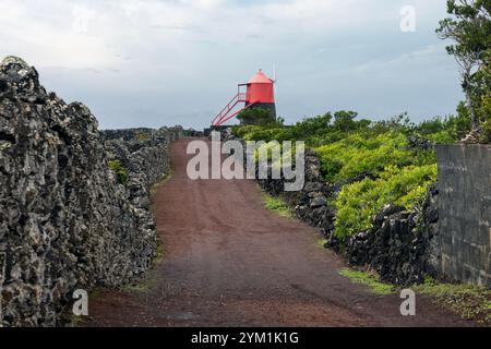 Criacao Velha, Madalena, Pico Island, Azoren Stockfoto