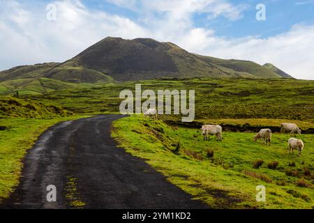 Vulkanische Landschaft entlang der Caminho das Lagoas auf Pico Island, Azoren. Stockfoto