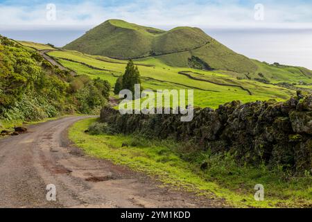 Vulkanische Landschaft entlang der Caminho das Lagoas auf Pico Island, Azoren. Stockfoto