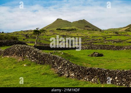 Vulkanische Landschaft entlang der Caminho das Lagoas auf Pico Island, Azoren. Stockfoto