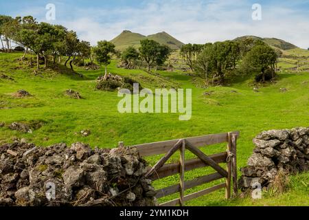 Vulkanische Landschaft entlang der Caminho das Lagoas auf Pico Island, Azoren. Stockfoto