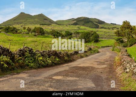 Vulkanische Landschaft entlang der Caminho das Lagoas auf Pico Island, Azoren. Stockfoto