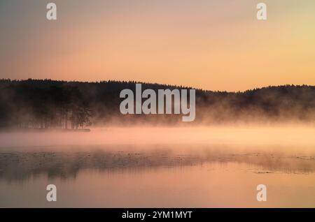 Sonnenaufgang mit Nebel über einem See in Schweden, bei Sonnenaufgang. Romantische Stille, in skandinavischer Natur Stockfoto