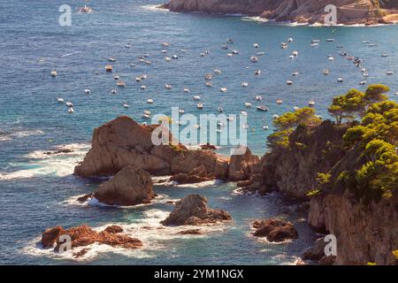 Panoramablick auf die Küste und die Bucht von Tossa de Mar, Spanien, mit felsigen Klippen, üppigen Kiefern und dem Mittelmeer Stockfoto