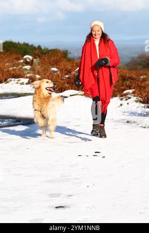 Belstone, Devon, Großbritannien. November 2024. Schnee auf Dartmoor bei Belstone, Devon. Raich Keene und Raphael der Retriever haben Spaß im Schnee Credit: Nidpor/Alamy Live News Stockfoto