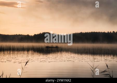 Sonnenaufgang mit Nebel über einem See in Schweden, bei Sonnenaufgang. Romantische Stille, in skandinavischer Natur Stockfoto