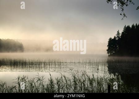 Nebelbildung über einem See in Schweden bei Sonnenaufgang. Romantische Stille, in skandinavischer Natur Stockfoto