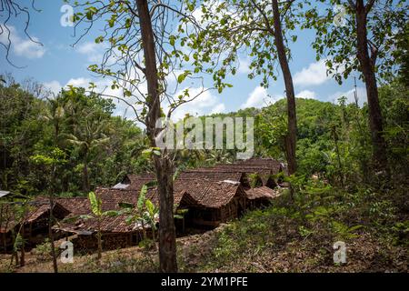 Traditionelles Haus am Rande eines Teakwaldes in Gunung Kidul, Yogyakarta, Indonesien. Stockfoto