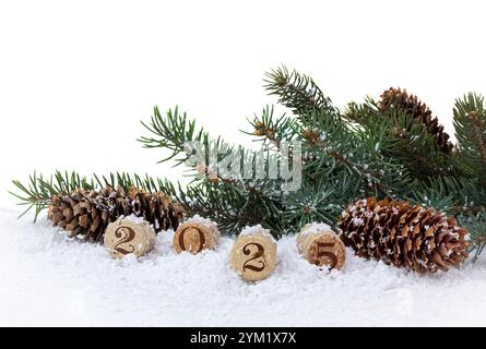 Flaschenkork, Kiefer und Kegel isoliert auf weißem Hintergrund. Neujahr 2025 Stockfoto
