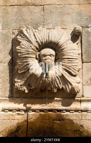 Affenskulptur Gesichtsmaske Auslaufhahn am großen Onofrio-Brunnen/großen Onofrios-Brunnen. Poljana Paska Miličevića qare. Altstadt von Dubrovnik. Kroatien. (138) Stockfoto