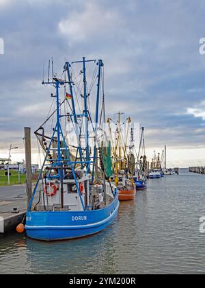 Dorum-Neufeld, Niedersachsen, Deutschland - 14. September 2022: Bunte Fischerboote im Hafen von Dorum-Neufeld an der niedersächsischen Nordseeküste. Stockfoto