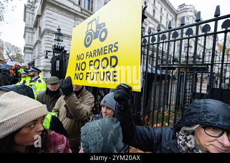 London, Großbritannien. November 2024. Die Bauern marschieren in London, um gegen die Änderung der Steuer der Labour-Regierung zu protestieren. Plakette mit der Aufschrift "keine Bauern, kein Essen, keine Zukunft" Stockfoto