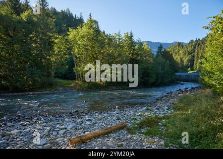 Dieses fesselnde Bild zeigt einen kristallklaren Bergbach, der sich durch ein atemberaubendes Alpental schlängelt. Im Vordergrund befindet sich ein felsiger Fluss Stockfoto