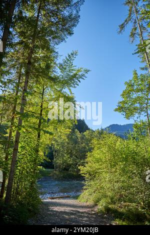 Dieses fesselnde Bild zeigt einen kristallklaren Bergbach, der sich durch ein atemberaubendes Alpental schlängelt. Im Vordergrund befindet sich ein felsiger Fluss Stockfoto