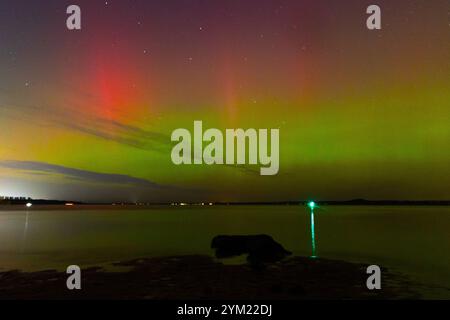 Ein wunderschönes Nordlicht am Herbsthimmel über Lettland. Aurora borealis un baltis Country Night. Saisonale Landschaft Nordeuropas. Stockfoto