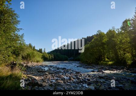 Dieses fesselnde Bild zeigt einen kristallklaren Bergbach, der sich durch ein atemberaubendes Alpental schlängelt. Im Vordergrund befindet sich ein felsiger Fluss Stockfoto