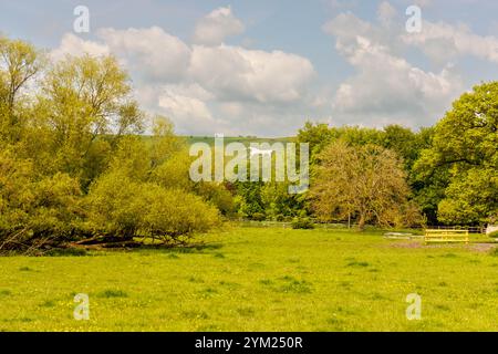 Alton Barnes White Horse Wiltshire Stockfoto