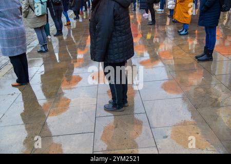 Magdeburg, Deutschland. November 2024. Dutzende Frauen und Männer stehen mit orangen Regenschirmen vor dem landtag Sachsen-Anhalts und spiegeln sich im regengetränkten Asphalt. Mit der Aktion des Landesfrauenrates Sachsen-Anhalt zum Internationalen Tag gegen Gewalt gegen Frauen soll auf die Notwendigkeit hingewiesen werden, das Gewaltpräventionsgesetz auf Bundesebene zu verabschieden. Die Regenschirme symbolisierten den Schutz vor Gewalt gegen Frauen. Quelle: Klaus-Dietmar Gabbert/dpa/Alamy Live News Stockfoto