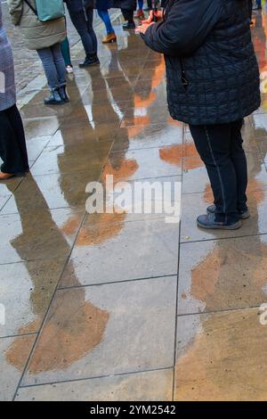 Magdeburg, Deutschland. November 2024. Dutzende Frauen und Männer stehen mit orangen Regenschirmen vor dem landtag Sachsen-Anhalts und spiegeln sich im regengetränkten Asphalt. Mit der Aktion des Landesfrauenrates Sachsen-Anhalt zum Internationalen Tag gegen Gewalt gegen Frauen soll auf die Notwendigkeit hingewiesen werden, das Gewaltpräventionsgesetz auf Bundesebene zu verabschieden. Die Regenschirme symbolisierten den Schutz vor Gewalt gegen Frauen. Quelle: Klaus-Dietmar Gabbert/dpa/Alamy Live News Stockfoto