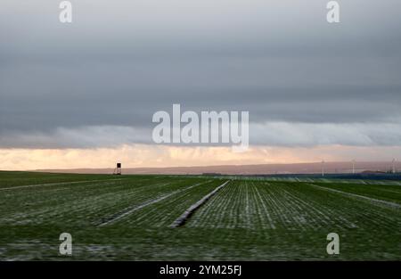 Herbst 18.11.2024, Backleben, Blick ueber die Felder zu einem Hochsitz, der Himmel scheint die Sonne durch die Wolken, eine leichte Schneedecke liegt auf dem Feld *** Herbst 18 11 2024, Backleben, Blick über die Felder zu einem hohen Sitz, der Himmel scheint die Sonne durch die Wolken, eine leichte Schneedecke liegt auf dem Feld Stockfoto