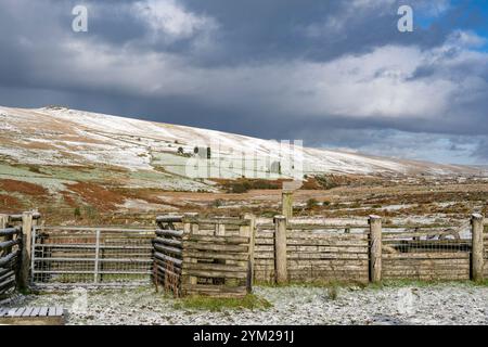 Raues ländliches Ackerland auf Dartmoor an einem kalten, frostigen Wintermorgen Stockfoto