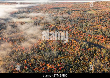 Nebelige Herbstwaldlandschaft. Drohnenfoto von oben durch flauschige Wolken. Drohnenflug über den Herbstwald Stockfoto
