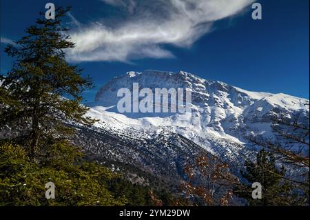 Schneebedeckte Landschaft des Tymfi Berges in der Nähe des Dorfes Papigo in der Gegend von Zagori, Epirus, Griechenland Stockfoto