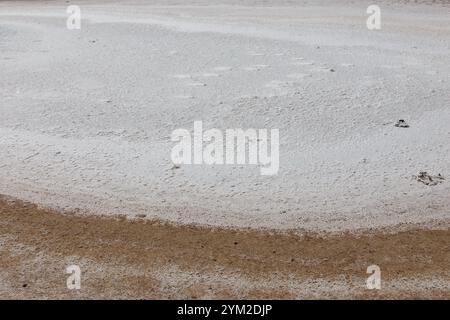 Getrockneter Salzsee in der Wüste Kasachstans. Region Mangystau Stockfoto