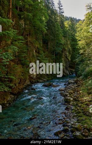 Dieses fesselnde Bild zeigt einen kristallklaren Bergbach, der sich durch ein atemberaubendes Alpental schlängelt. Im Vordergrund befindet sich ein felsiger Fluss Stockfoto