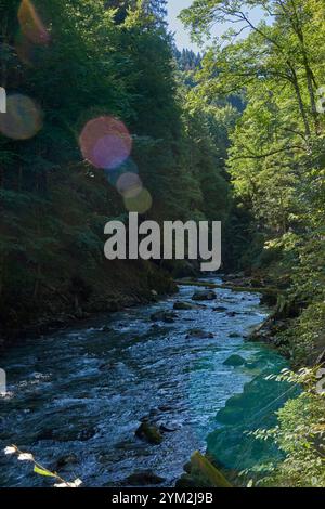 Dieses fesselnde Bild zeigt einen kristallklaren Bergbach, der sich durch ein atemberaubendes Alpental schlängelt. Im Vordergrund befindet sich ein felsiger Fluss Stockfoto