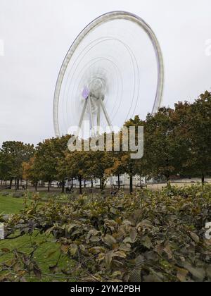 Das Riesenrad dreht sich hinter einer Reihe von Bäumen an einem bewölkten Tag. Paris, Frankreich, Europa Stockfoto