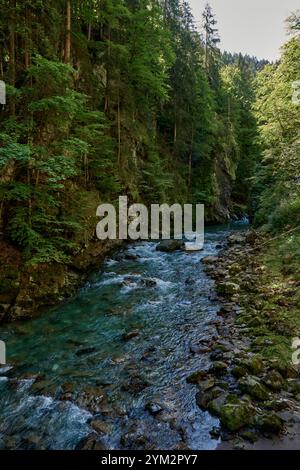 Dieses fesselnde Bild zeigt einen kristallklaren Bergbach, der sich durch ein atemberaubendes Alpental schlängelt. Im Vordergrund befindet sich ein felsiger Fluss Stockfoto