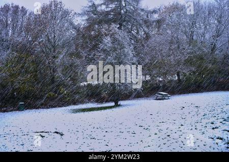 Harter Schnee im Wentwood Forest, Südwales. Herbst, November 2024 Stockfoto