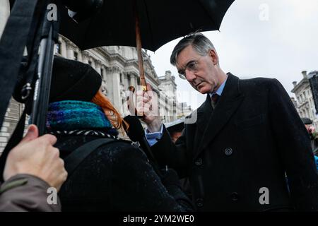 London, Großbritannien. November 2024. Jacob Rees-Mogg bei der Veranstaltung. Bauern, ihre Familien und Unterstützer protestieren im Zentrum Londons gegen Pläne zur Einführung der Erbschaftssteuer für Landwirte. Quelle: Imageplotter/Alamy Live News Stockfoto