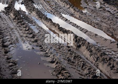 Reifenspuren von Traktoren und schweren Maschinen im Schlamm Stockfoto