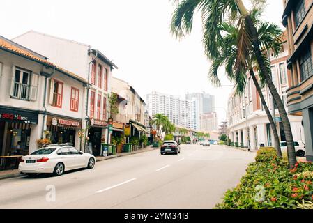 Singapur - 03. Januar 2023 - Eine Reihe traditioneller chinesischer Häuserarchitektur an der Joo Chiat Road. Hochwertige Fotos Stockfoto